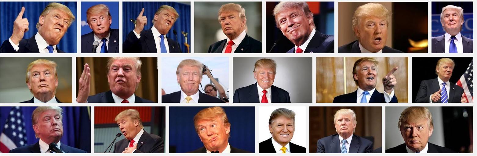 Der unaufhaltsame Aufstieg des Adolf D. Trump