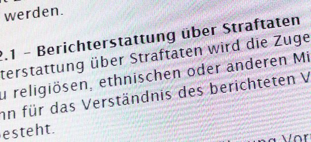 Programmbeschwerde wegen Nennung der Nationalität des Straftäters (BVB)
